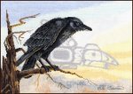 (image for) Raven